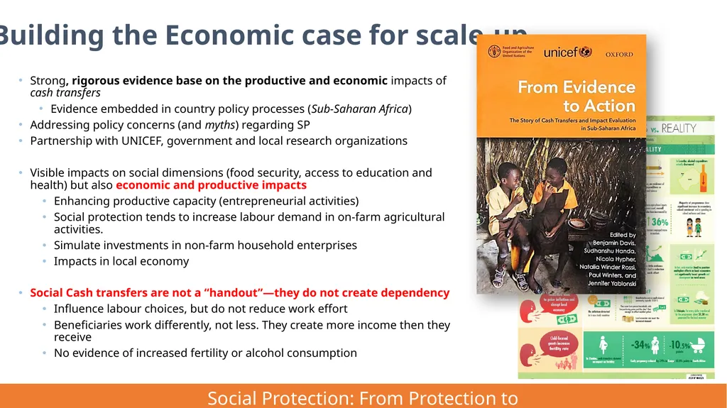 FAO Strategic Framework for Social Protection: - slide 13 of 21