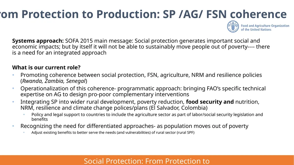 FAO Strategic Framework for Social Protection: - slide 15 of 21