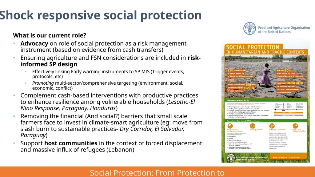 FAO Strategic Framework for Social Protection: - slide 16 of 21