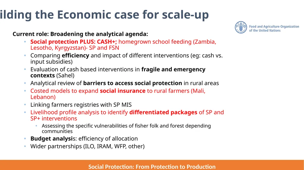 FAO Strategic Framework for Social Protection: - slide 14 of 21