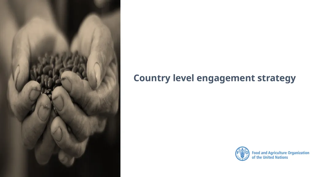 FAO Strategic Framework for Social Protection: - slide 17 of 21