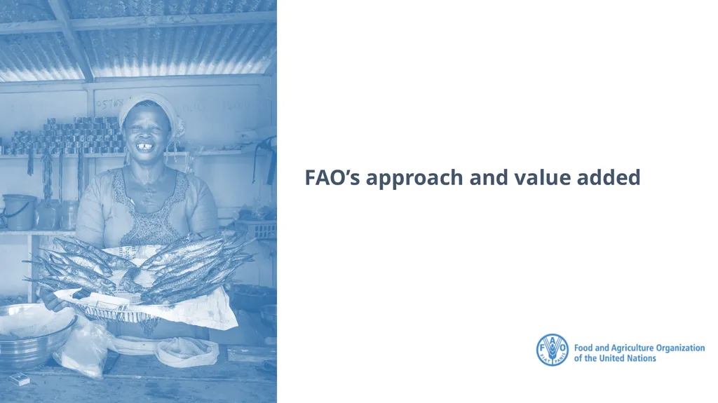 FAO Strategic Framework for Social Protection: - slide 9 of 21