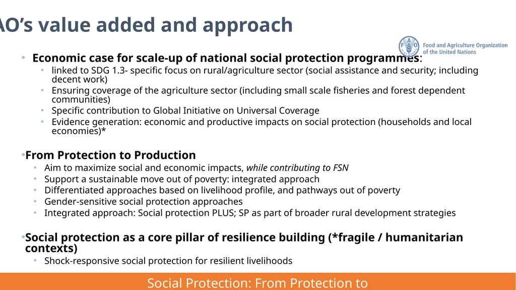 FAO Strategic Framework for Social Protection: - slide 12 of 21