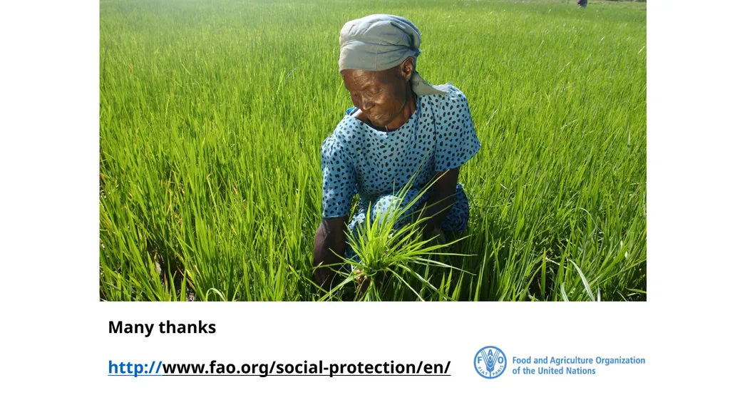 FAO Strategic Framework for Social Protection: - slide 21 of 21