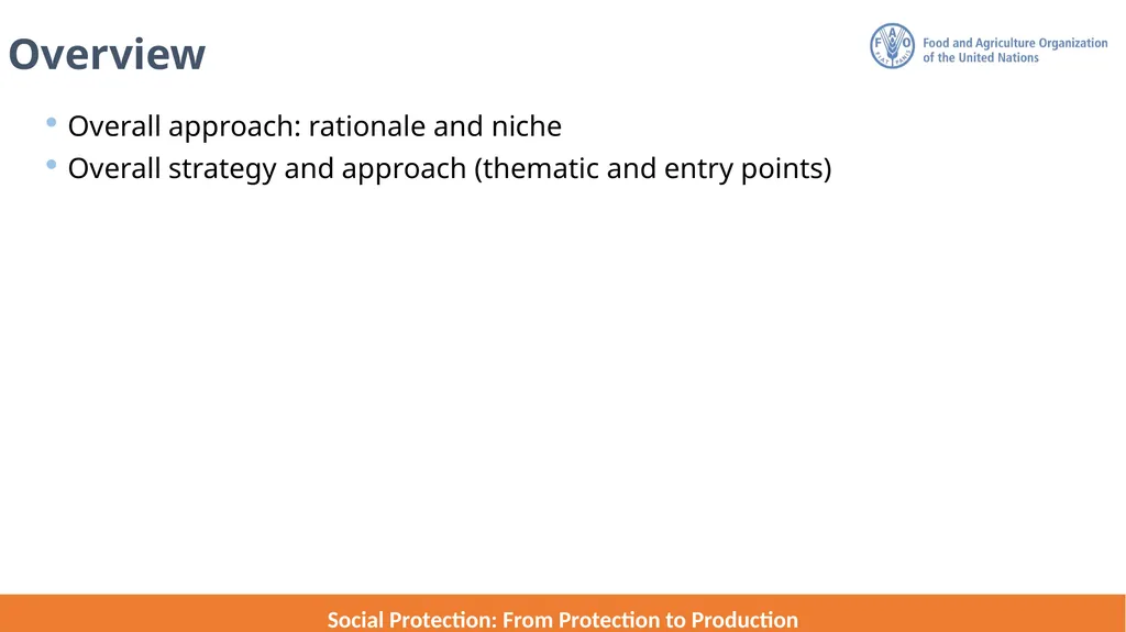 FAO Strategic Framework for Social Protection: - slide 2 of 21