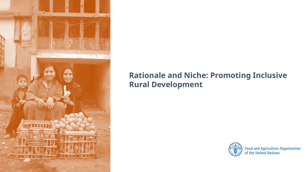 FAO Strategic Framework for Social Protection: - slide 3 of 21