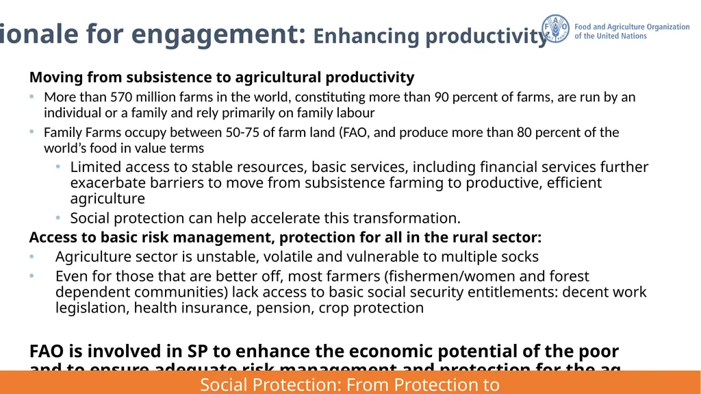 FAO Strategic Framework for Social Protection: - slide 8 of 21