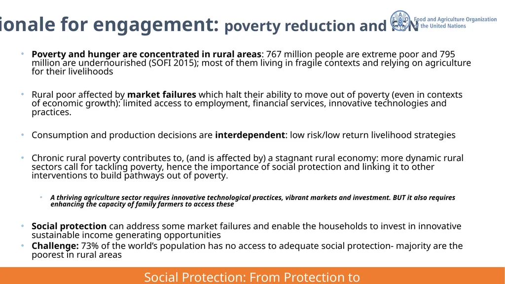 FAO Strategic Framework for Social Protection: - slide 7 of 21