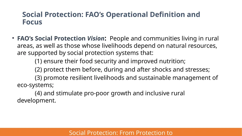FAO Strategic Framework for Social Protection: - slide 5 of 21