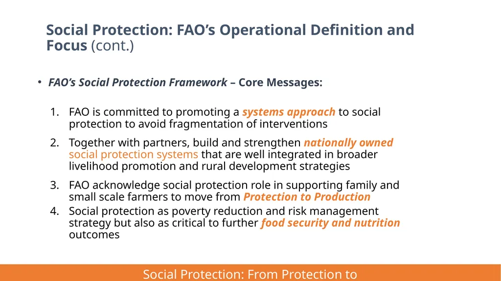 FAO Strategic Framework for Social Protection: - slide 6 of 21
