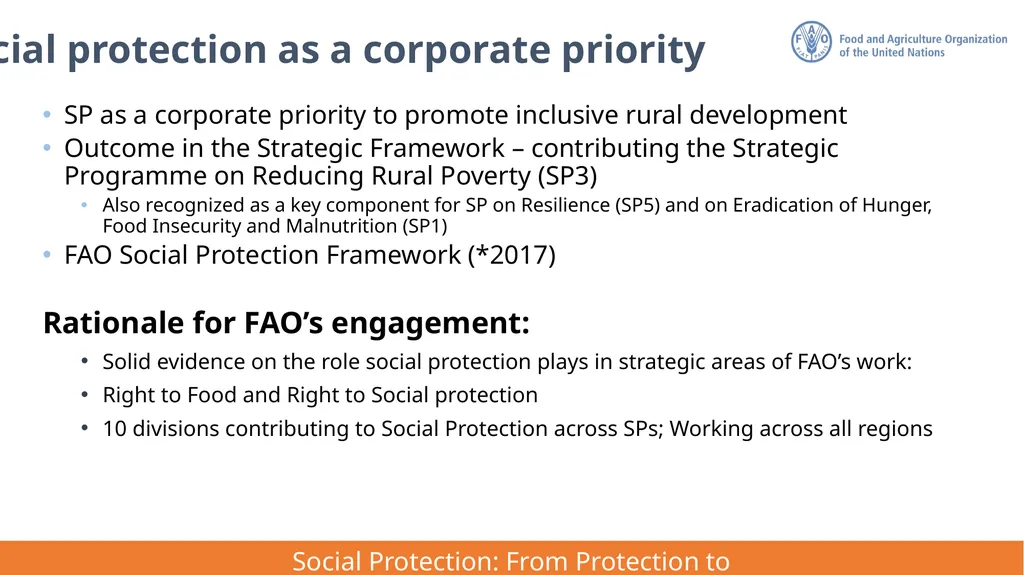 FAO Strategic Framework for Social Protection: - slide 4 of 21