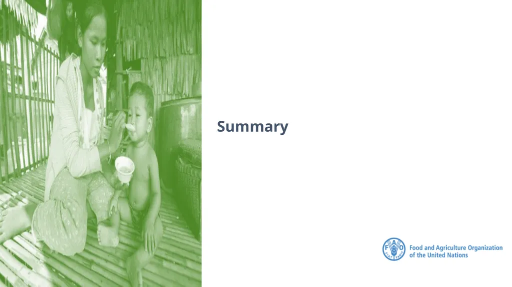FAO Strategic Framework for Social Protection: - slide 19 of 21