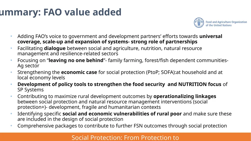 FAO Strategic Framework for Social Protection: - slide 20 of 21