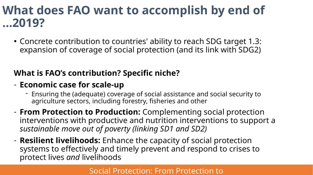 FAO Strategic Framework for Social Protection: - slide 10 of 21