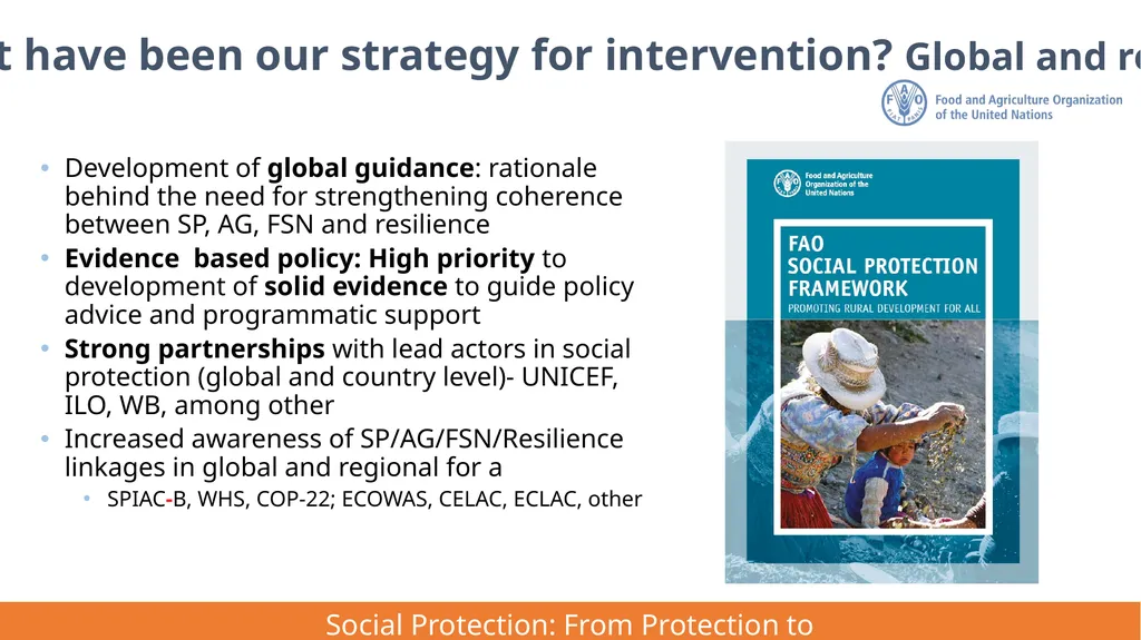 FAO Strategic Framework for Social Protection: - slide 18 of 21