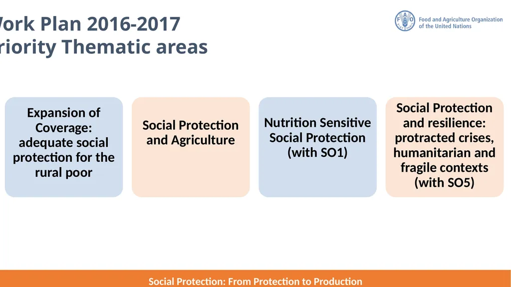 FAO Strategic Framework for Social Protection: - slide 11 of 21