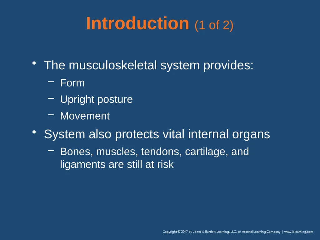 Chapter 31 Orthopaedic Injuries National EMS - slide 7 of 152