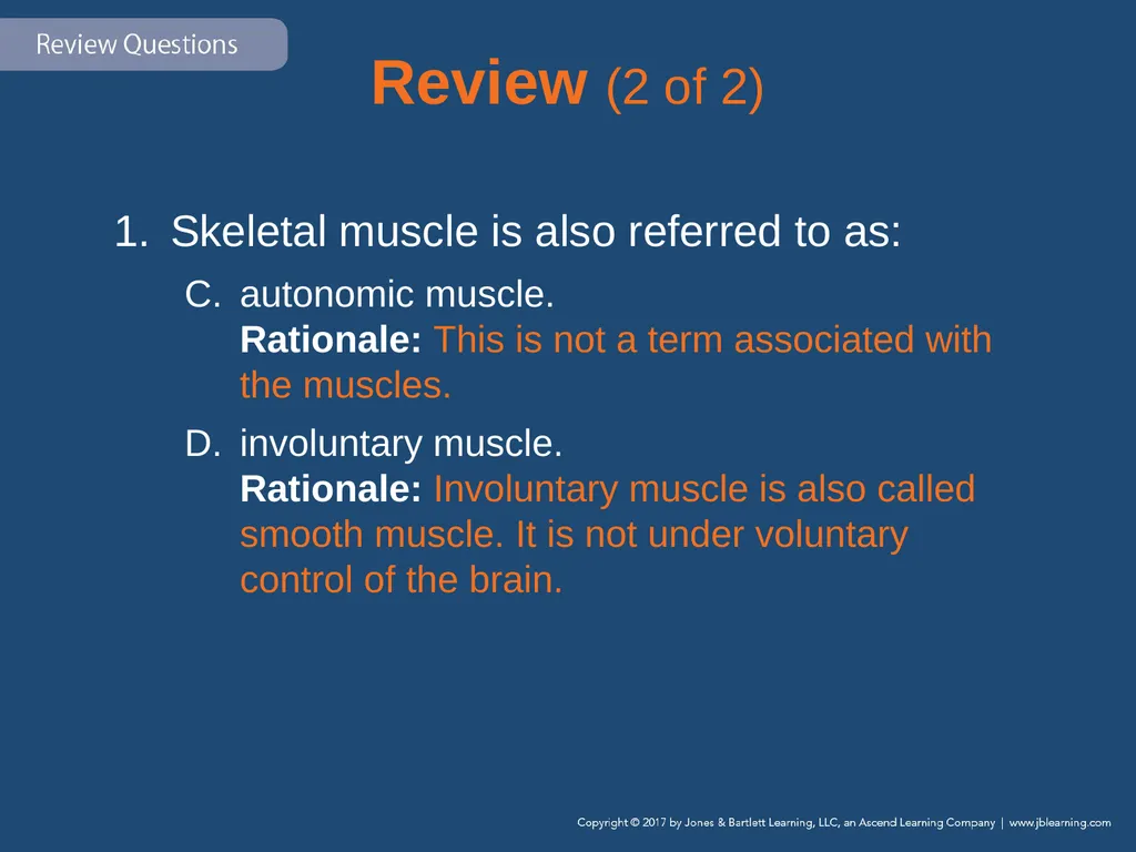 Chapter 31 Orthopaedic Injuries National EMS - slide 117 of 152