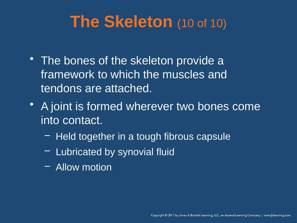 Chapter 31 Orthopaedic Injuries National EMS - slide 23 of 152