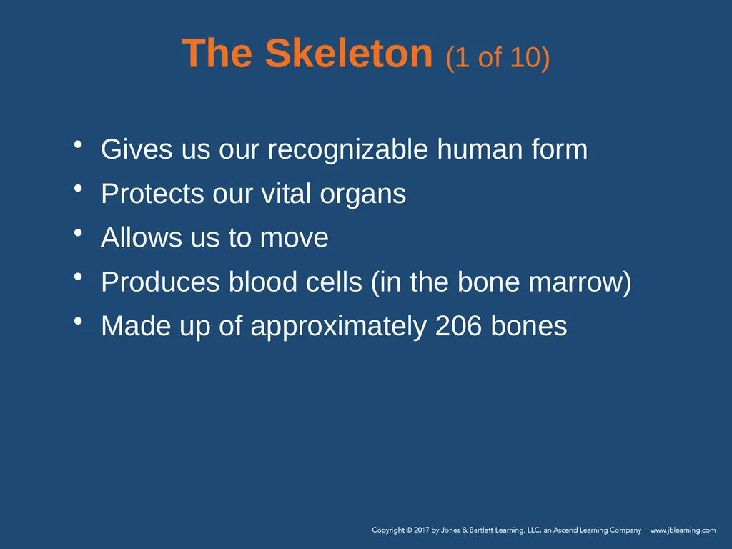Chapter 31 Orthopaedic Injuries National EMS - slide 14 of 152