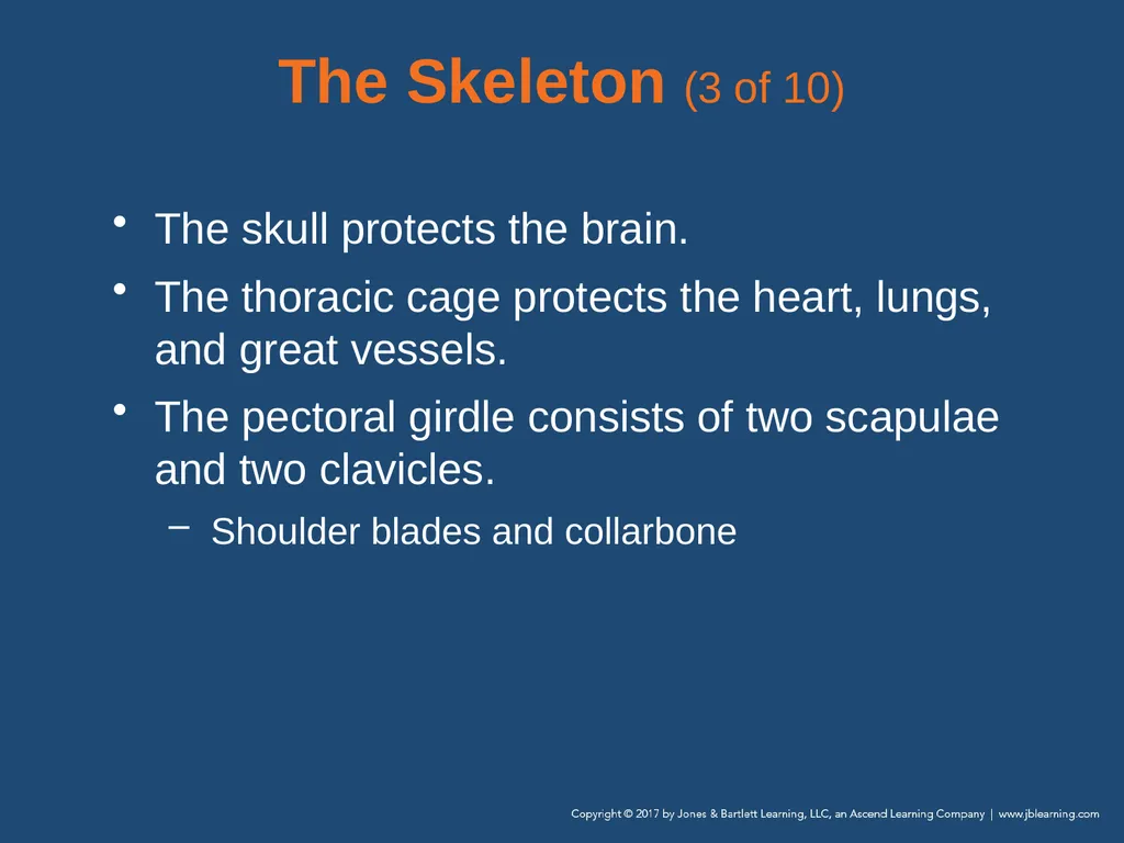 Chapter 31 Orthopaedic Injuries National EMS - slide 16 of 152