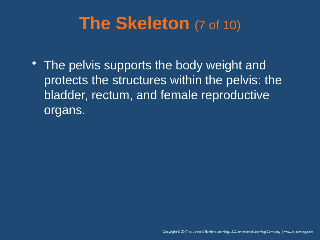 Chapter 31 Orthopaedic Injuries National EMS - slide 20 of 152