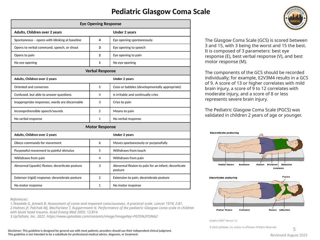 Pediatric Trauma Resources: Head and Neck 1 - slide 5 of 16