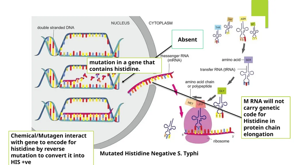 Principles of Toxicology All substances are - slide 35 of 107