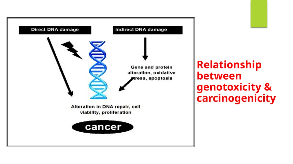 Principles of Toxicology All substances are - slide 28 of 107