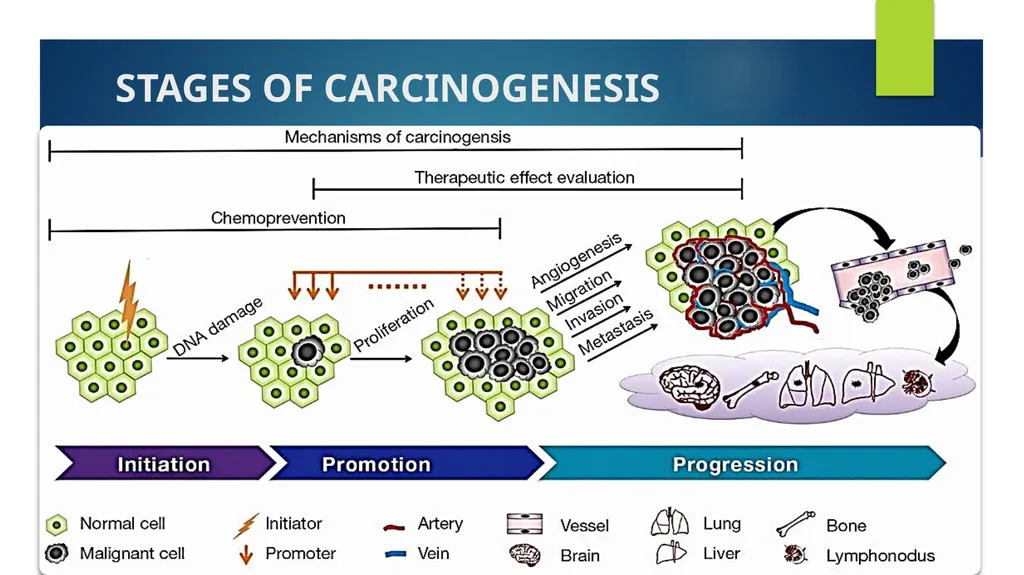 Principles of Toxicology All substances are - slide 38 of 107