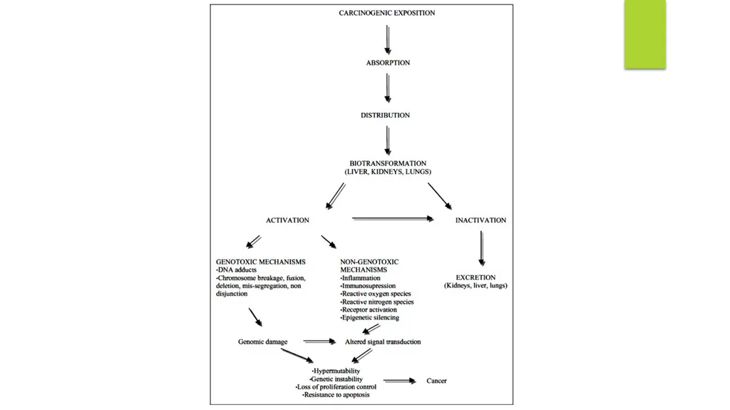 Principles of Toxicology All substances are - slide 41 of 107