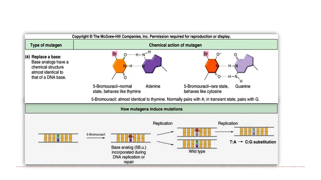 Principles of Toxicology All substances are - slide 50 of 107