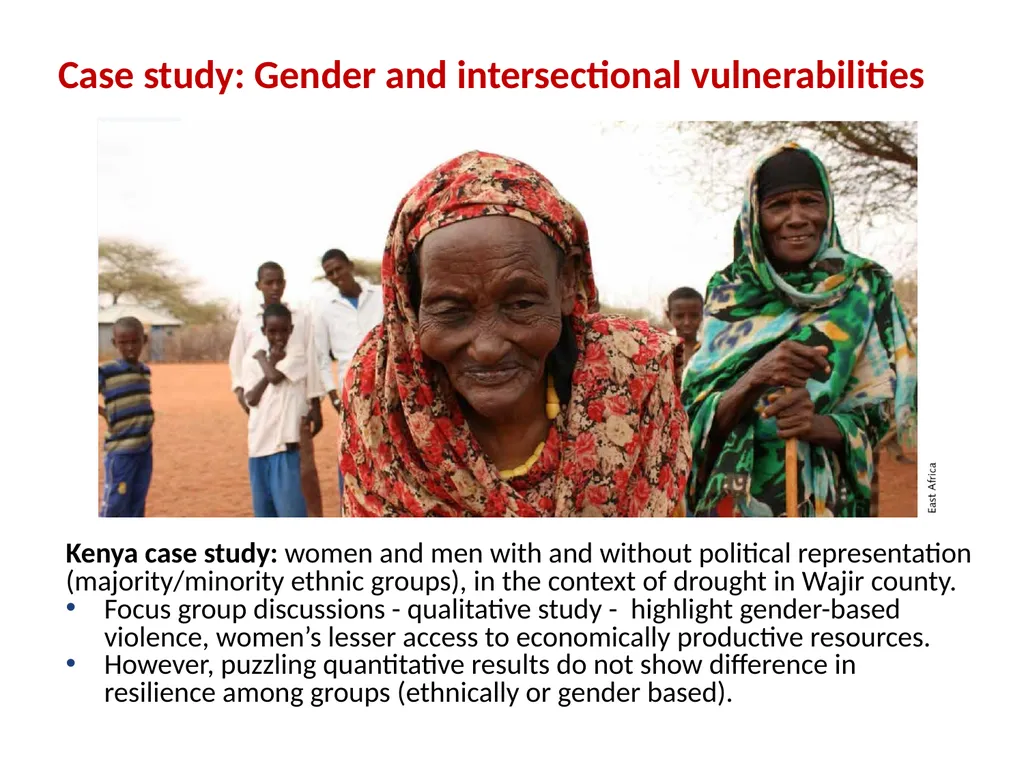 Gender and social inclusion Assessing people’s - slide 28 of 30
