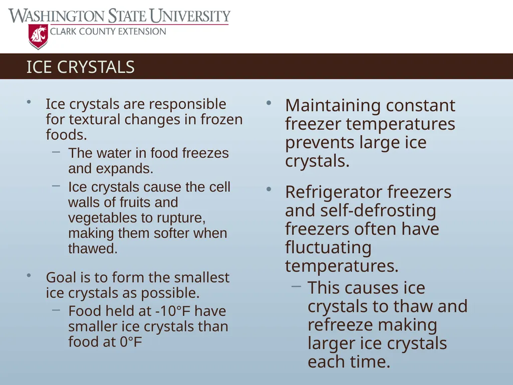 Basic Practices of Freezing Food Washington State - slide 15 of 52