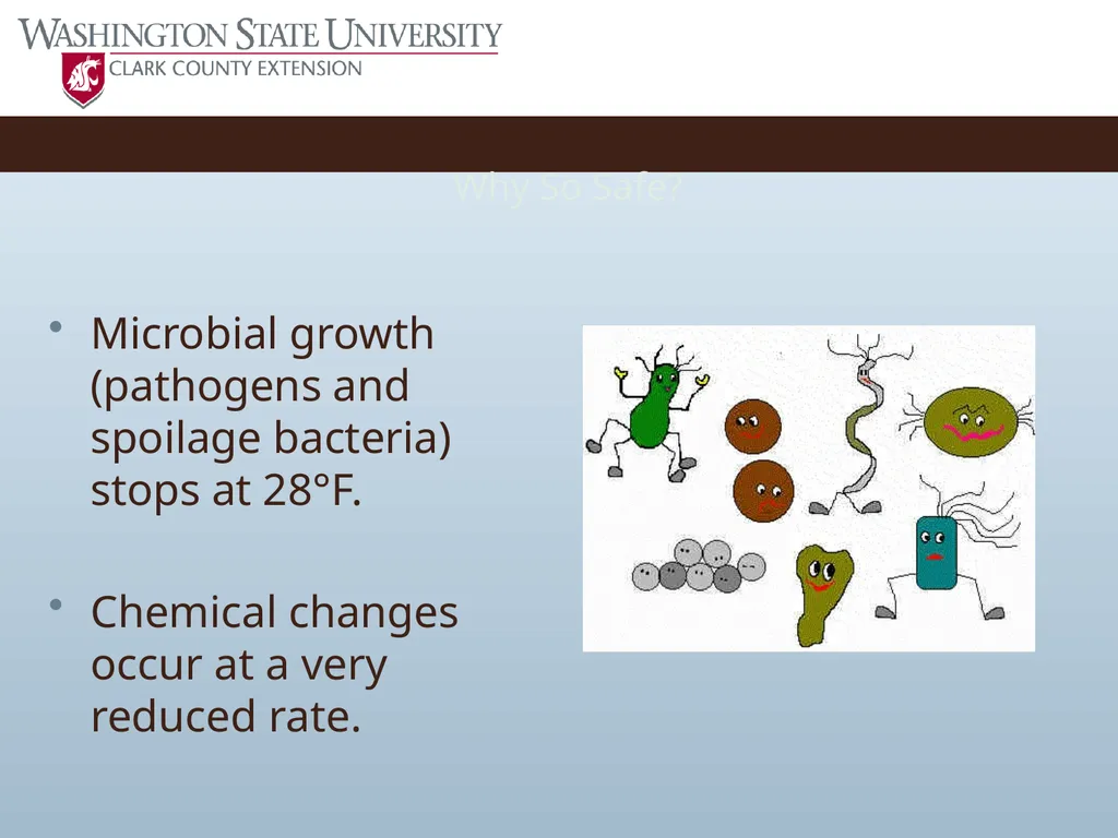Basic Practices of Freezing Food Washington State - slide 10 of 52