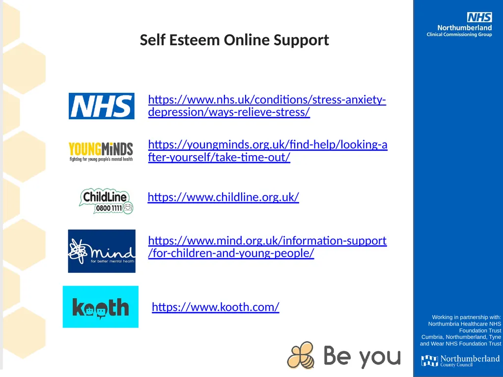 Self Esteem Working in partnership with: - slide 11 of 14