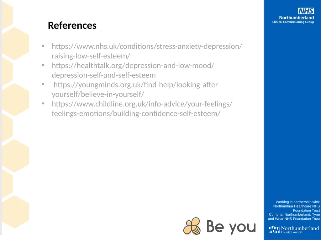 Self Esteem Working in partnership with: - slide 14 of 14
