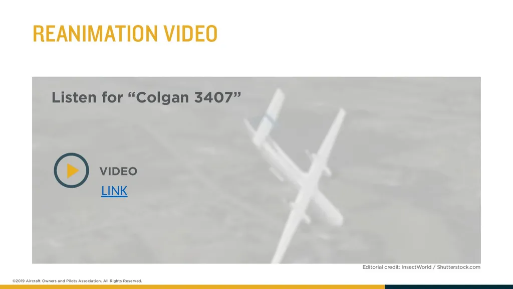 LINK LINK - slide 10 of 14