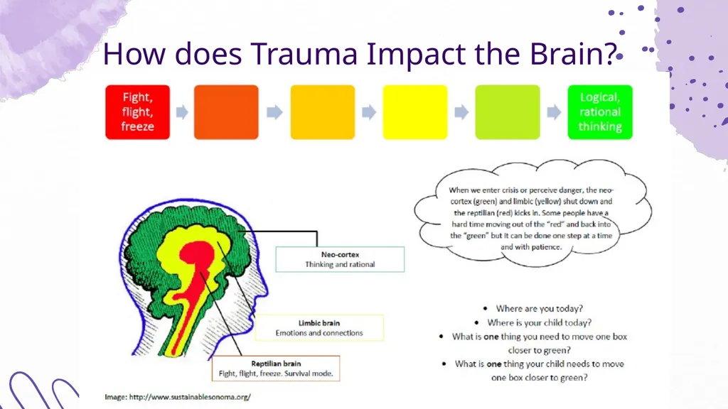 Trauma & the Brain Shannon McElroy, LICSW, PIP, - slide 16 of 34