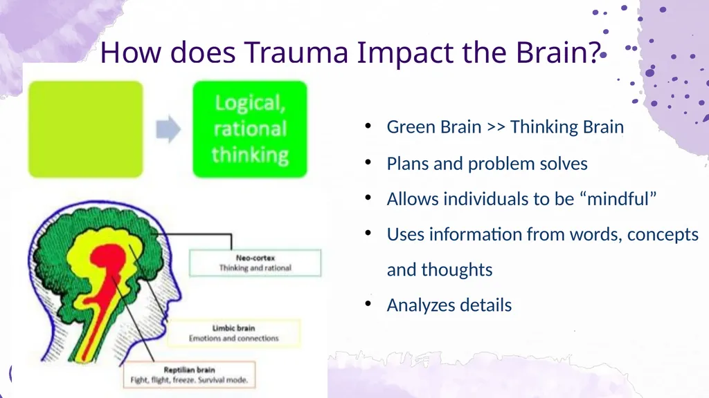 Trauma & the Brain Shannon McElroy, LICSW, PIP, - slide 17 of 34