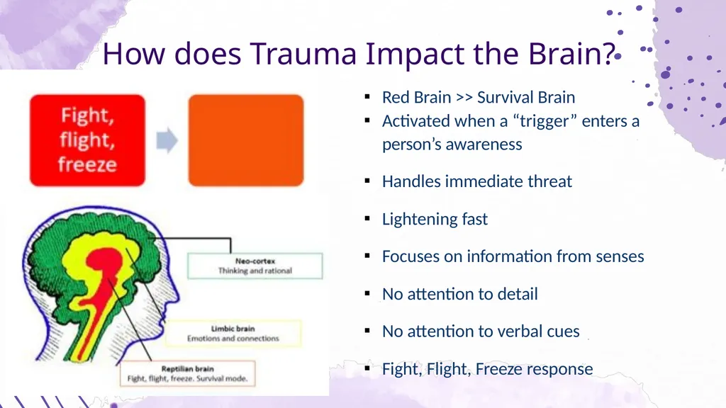 Trauma & the Brain Shannon McElroy, LICSW, PIP, - slide 19 of 34