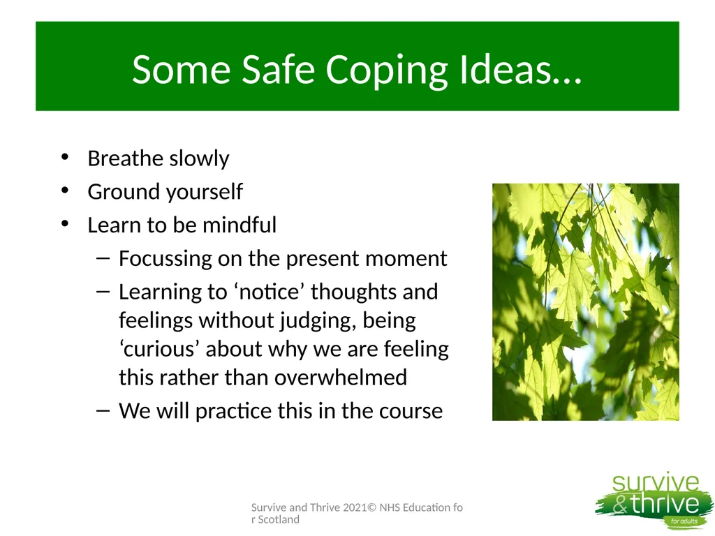 Week 4: Surviving the Surviving Welcome Back How - slide 19 of 43