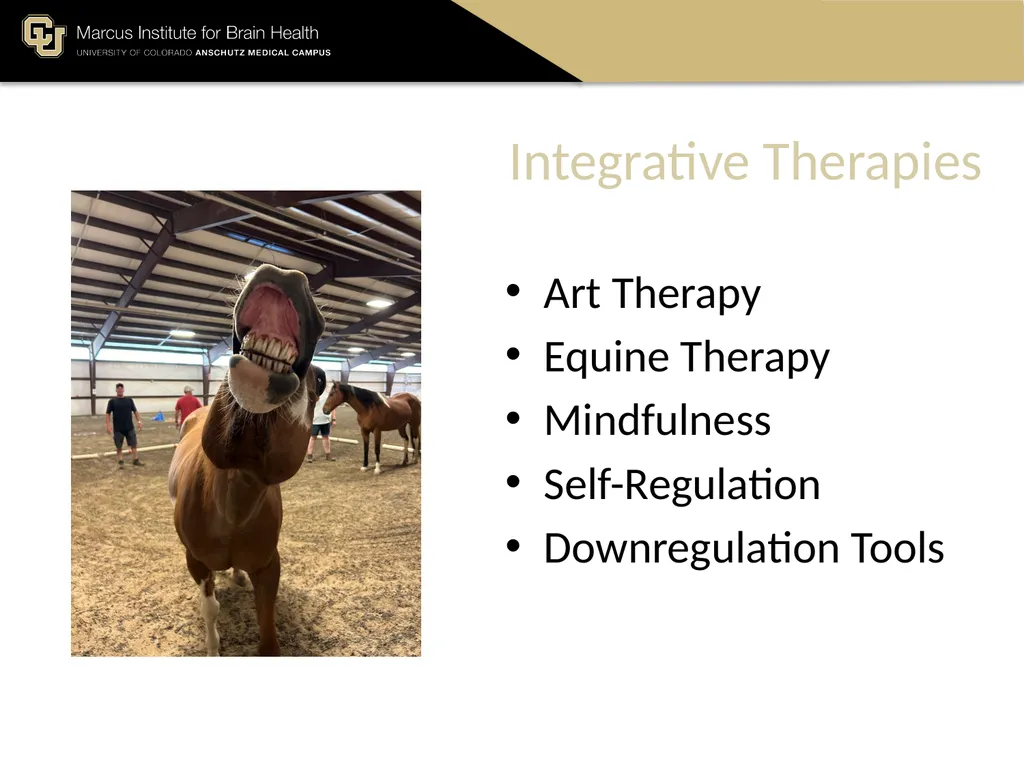 The Marcus Institute for Brain Health TBI 101 A - slide 20 of 23