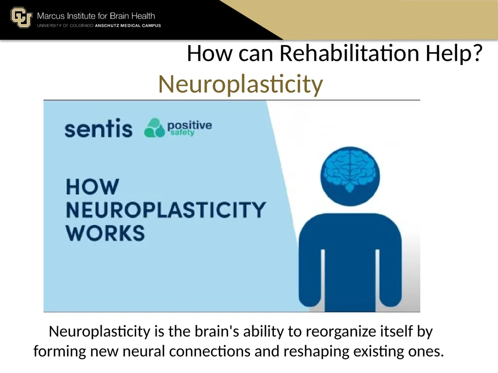 The Marcus Institute for Brain Health TBI 101 A - slide 14 of 23