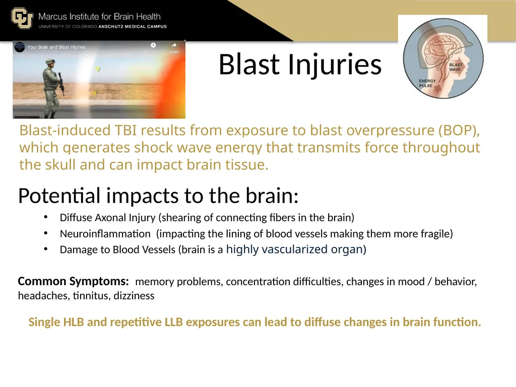 The Marcus Institute for Brain Health TBI 101 A - slide 8 of 23