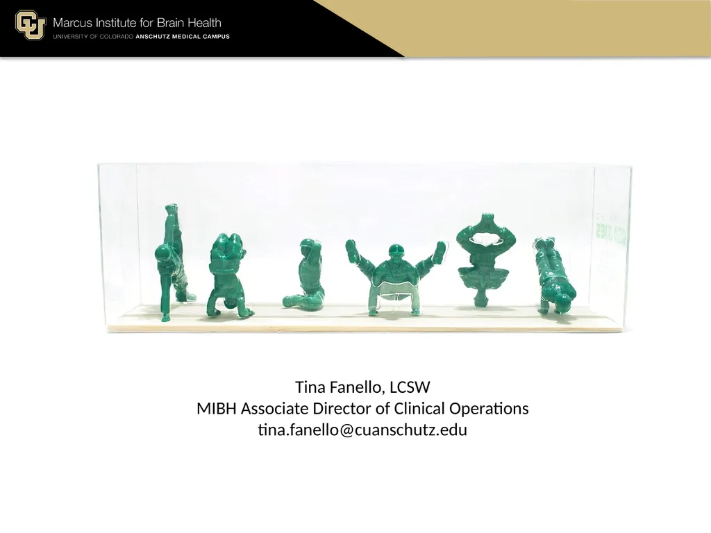 The Marcus Institute for Brain Health TBI 101 A - slide 23 of 23