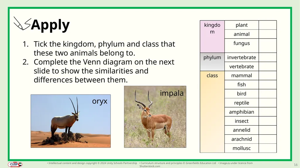 1 CUSP Science Revisit lesson Grade 3 Biology - slide 16 of 19