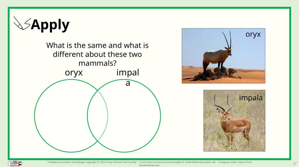 1 CUSP Science Revisit lesson Grade 3 Biology - slide 17 of 19
