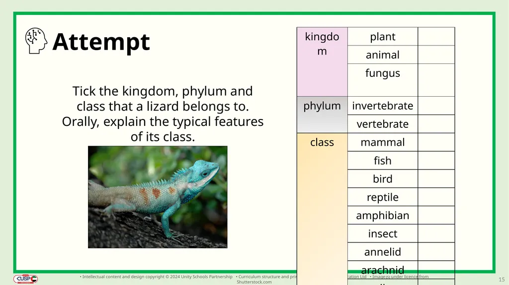 1 CUSP Science Revisit lesson Grade 3 Biology - slide 15 of 19