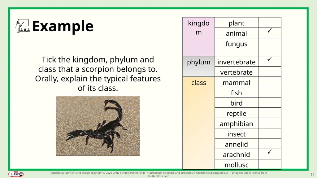 1 CUSP Science Revisit lesson Grade 3 Biology - slide 13 of 19